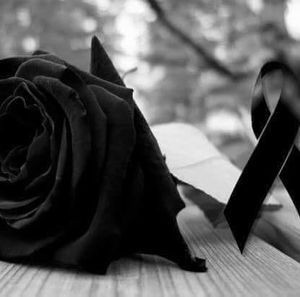 Meet your Posher, Ernesto